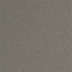 Symphony Classic Horizon